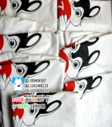 ���ϴ�ѧ�����߰ඨ���İ��չʾ