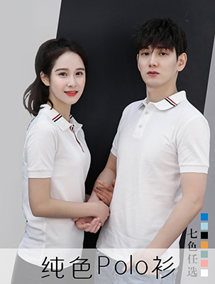 �¿ɫ����Polo��