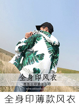 ȫ��ӡ�������